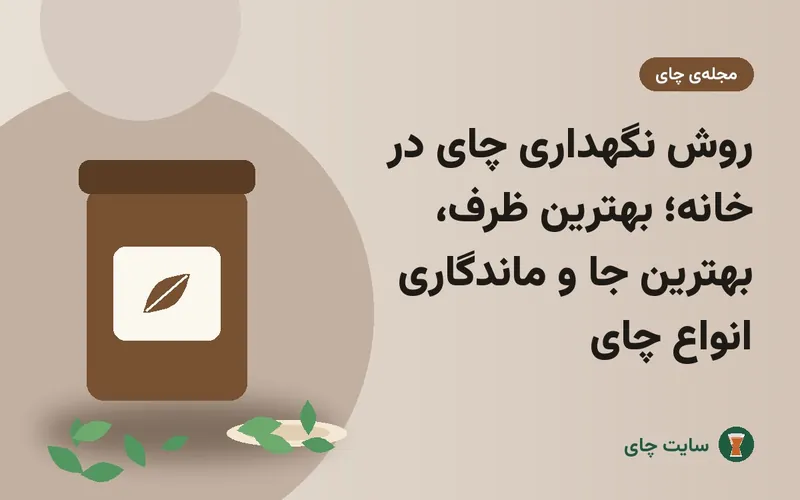 روش نگهداری چای در خانه؛ بهترین ظرف، بهترین جا و ماندگاری انواع چای