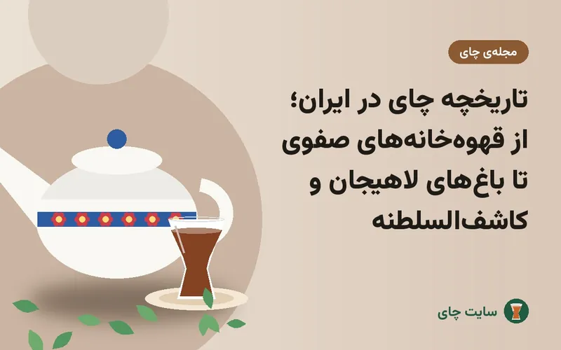 تاریخچه چای در ایران؛ از قهوه‌خانه‌های صفوی تا باغ‌های لاهیجان و کاشف‌السلطنه