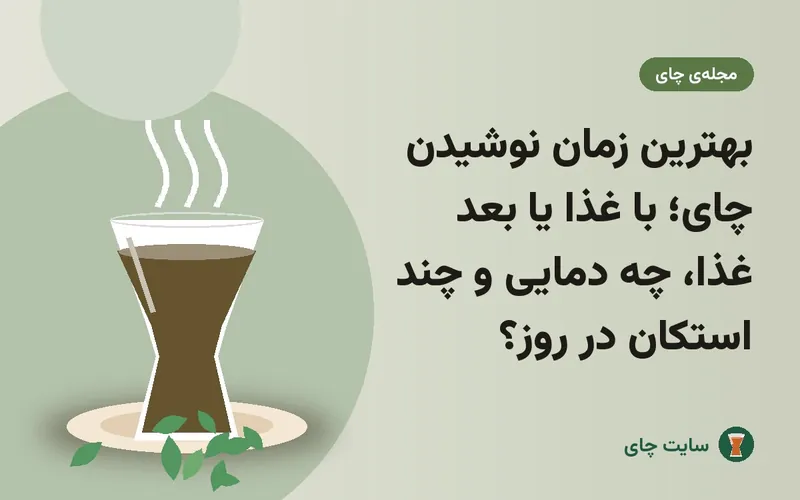 بهترین زمان نوشیدن چای؛ با غذا یا بعد غذا، چه دمایی و چند استکان در روز؟