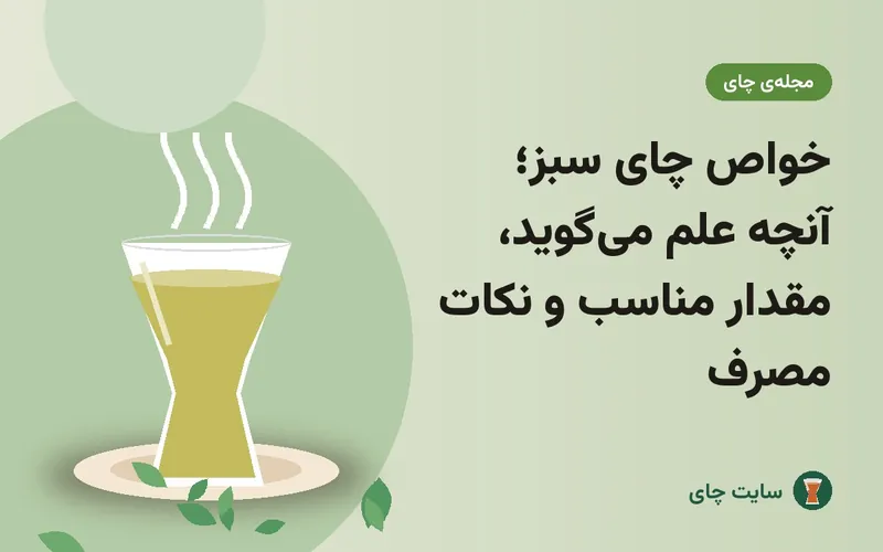 خواص چای سبز؛ آنچه علم می‌گوید، مقدار مناسب و نکات مصرف