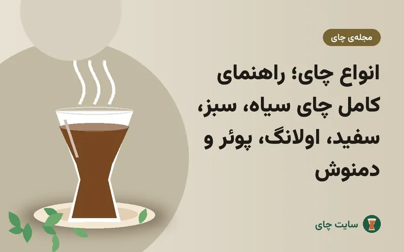 انواع چای؛ راهنمای کامل چای سیاه، سبز، سفید، اولانگ، پوئر و دمنوش