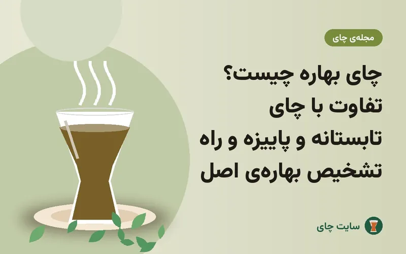 چای بهاره چیست؟ تفاوت با چای تابستانه و پاییزه و راه تشخیص بهاره‌ی اصل