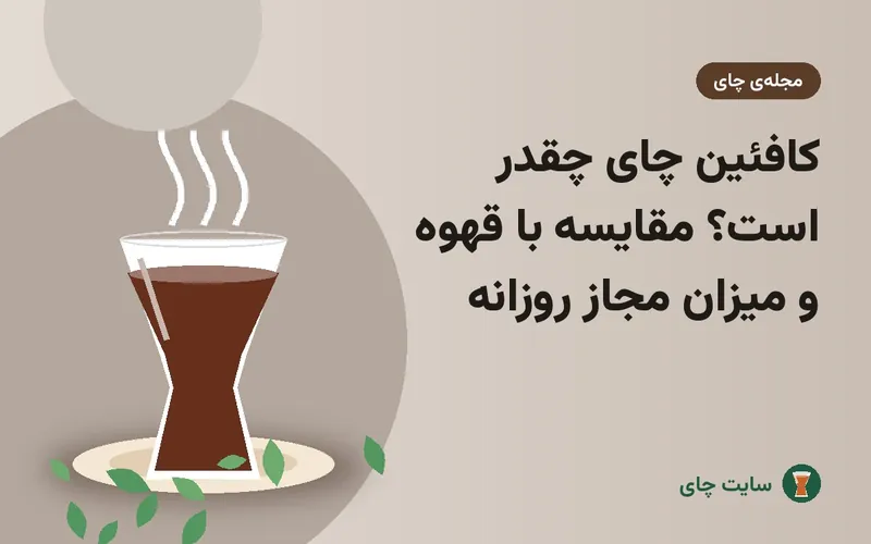 کافئین چای چقدر است؟ مقایسه با قهوه و میزان مجاز روزانه