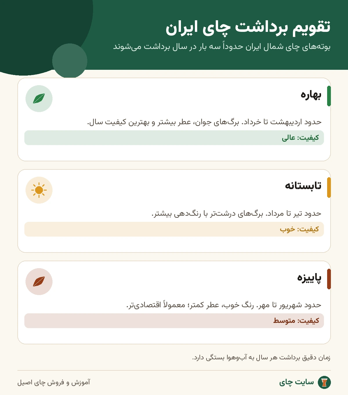 اینفوگرافی تقویم برداشت بهاره، تابستانه و پاییزه چای ایران