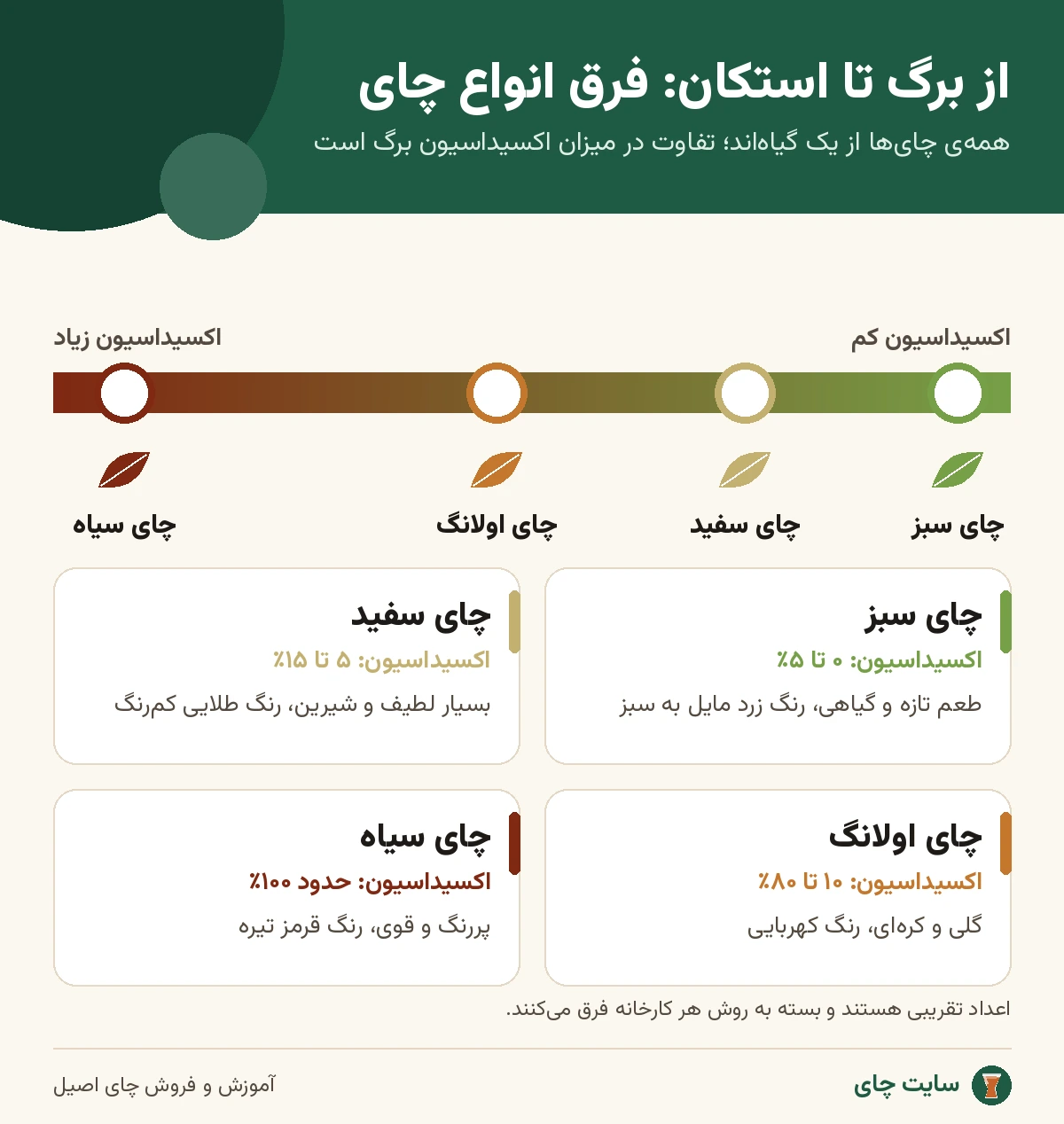 اینفوگرافی فرق چای سبز، سفید، اولانگ و سیاه بر اساس اکسیداسیون