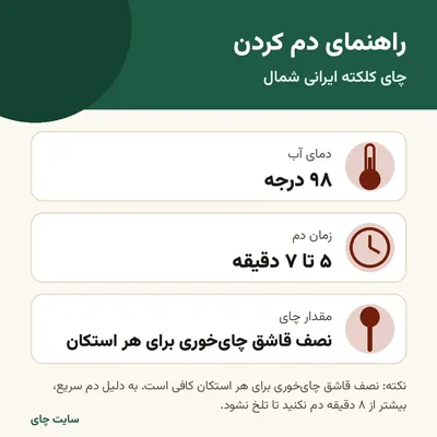 راهنمای دم کردن چای کلکته ایرانی شمال: دما، زمان و مقدار